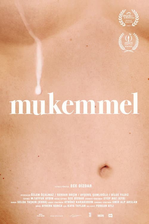 Mükemmel (2024) poster