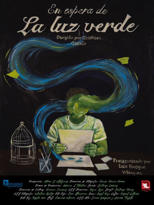 En espera de la Luz Verde (2025) poster
