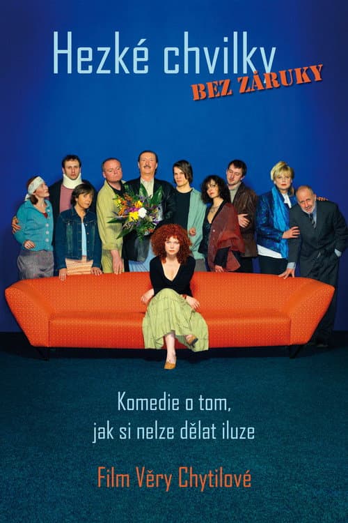 Hezké chvilky bez záruky (2006) poster