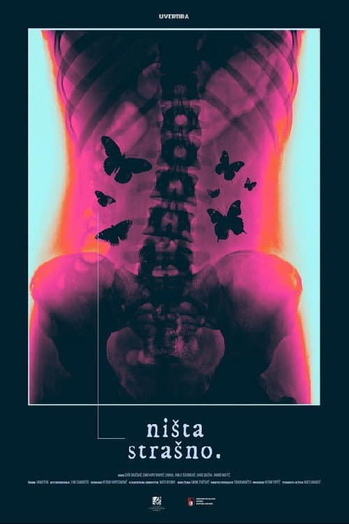 Ništa strašno (2025) poster