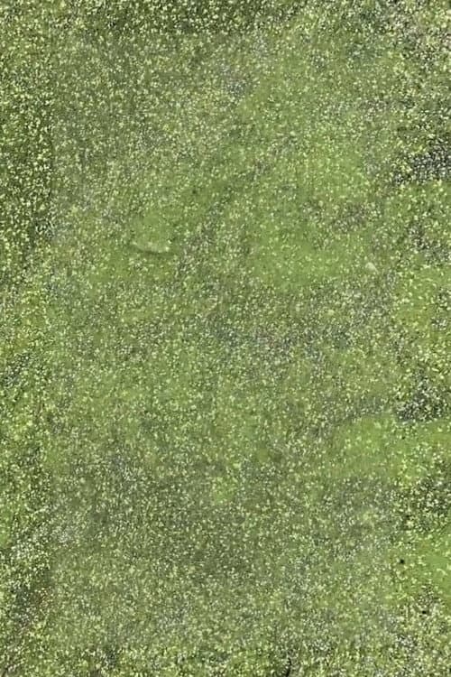 Duckweed (2021) poster