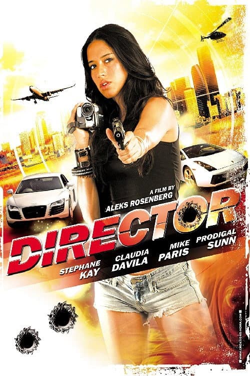 Director (2008) poster