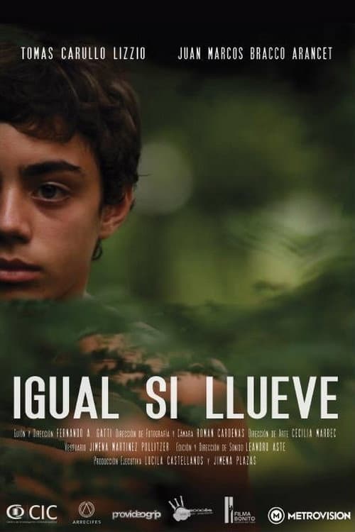 Igual si llueve (2012) poster