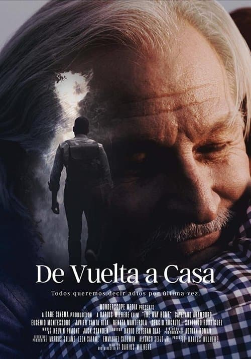 De vuelta a casa (2022) poster