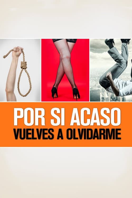 Por si acaso vuelves a olvidarme (2013) poster