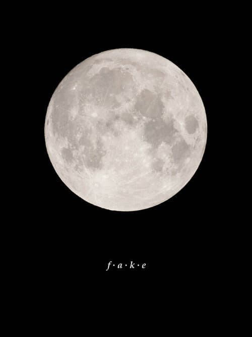 Fake (2025) poster