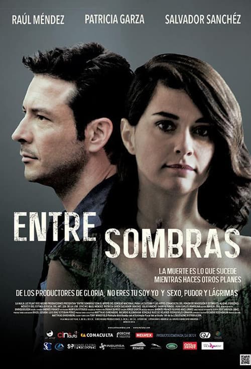 Entre Sombras (2015) poster