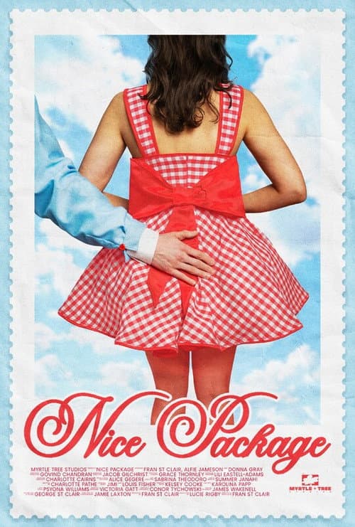 Nice Package (2025) poster