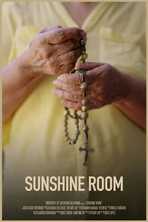 Sunshine Room (2020) poster