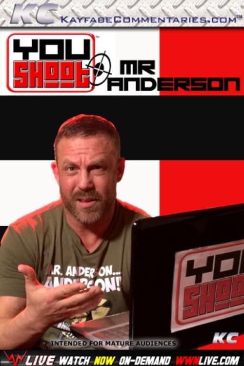 YouShoot: Mr. Anderson (2016) poster