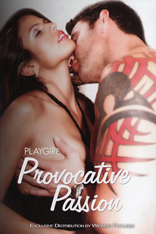 Provocative Passion (2008) poster