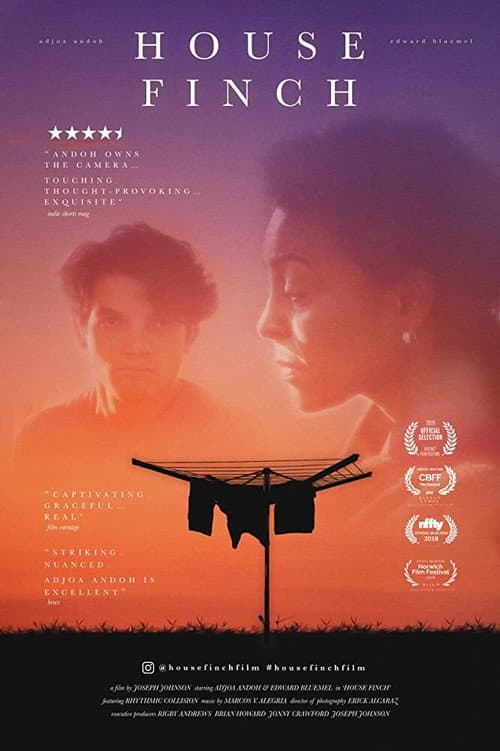 House Finch (2021) poster