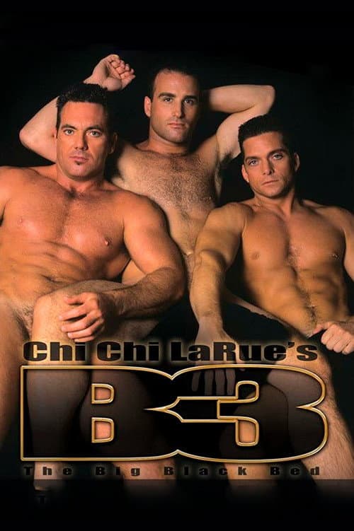 The Big Black Bed (1996) poster