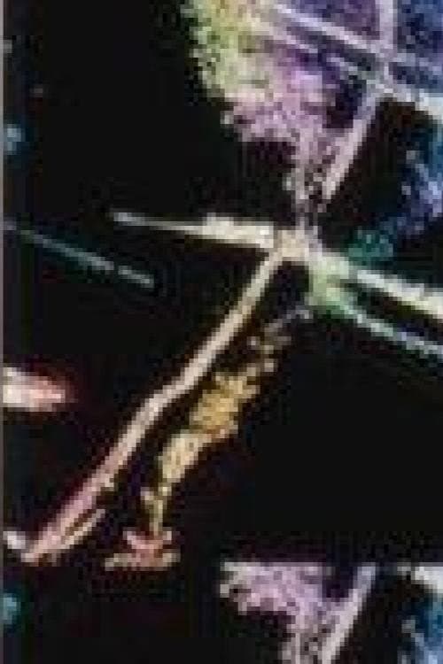 Cricket Requiem (1999) poster