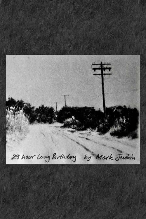 29 Hour Long Birthday (2022) poster
