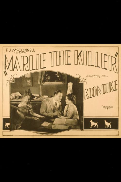 Marlie the Killer (1928) poster