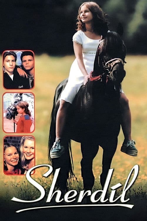 Sherdil (1999) poster