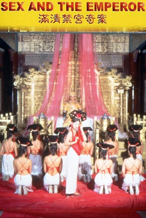 Man Qing Jin Gong Qi An (1994) poster