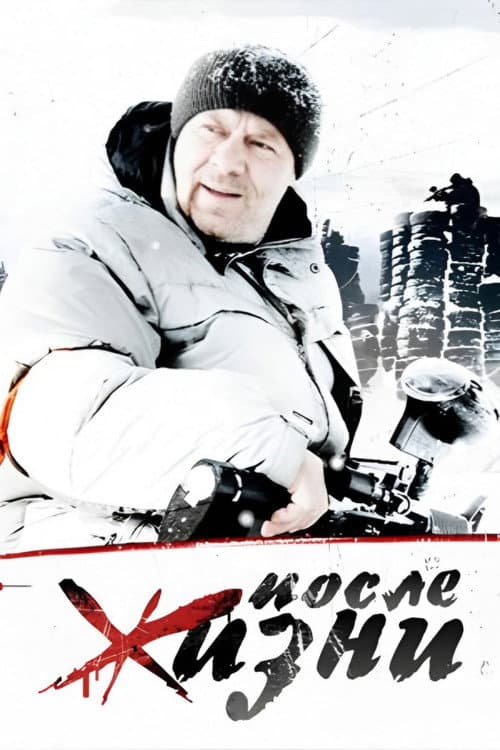 После жизни (2008) poster