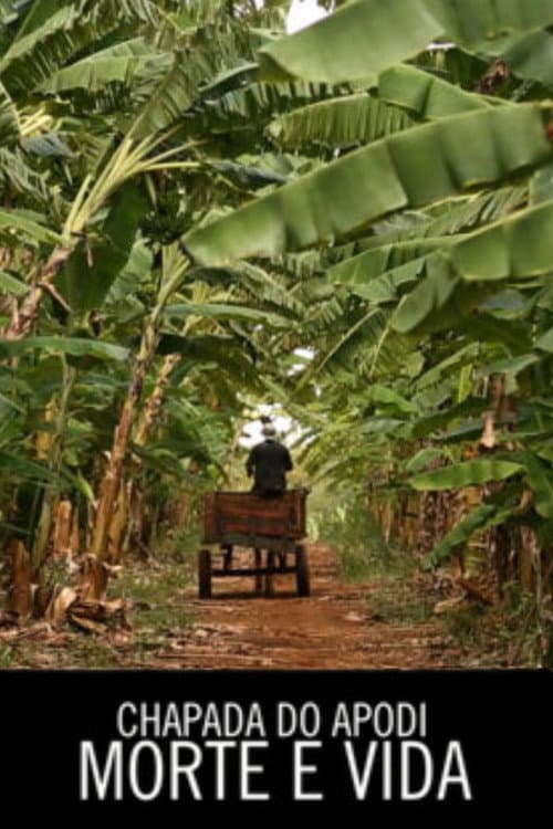 Chapada do Apodi, Morte e Vida (2013) poster