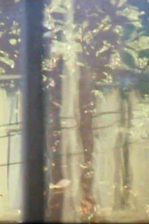 Windchimes, Window, Tree (1976) poster