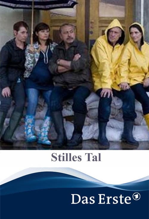 Stilles Tal (2011) poster
