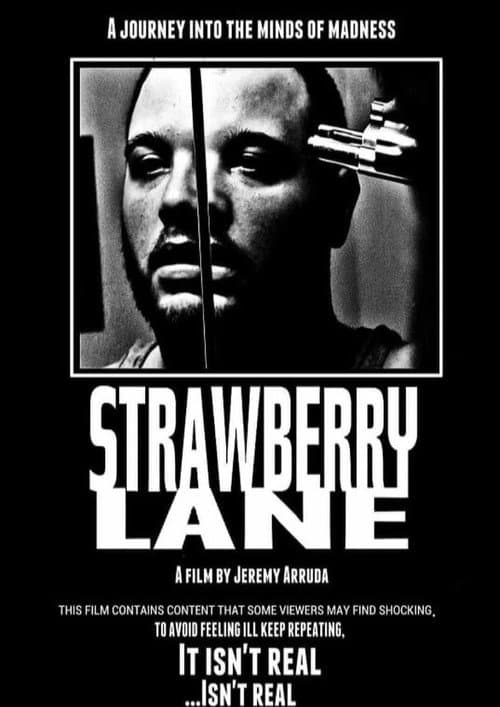 Strawberry Lane (2019) poster