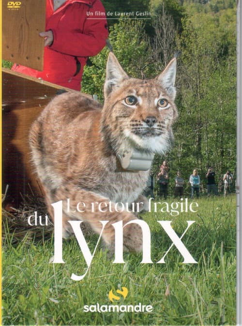 Le Retour fragile du lynx (2021) poster