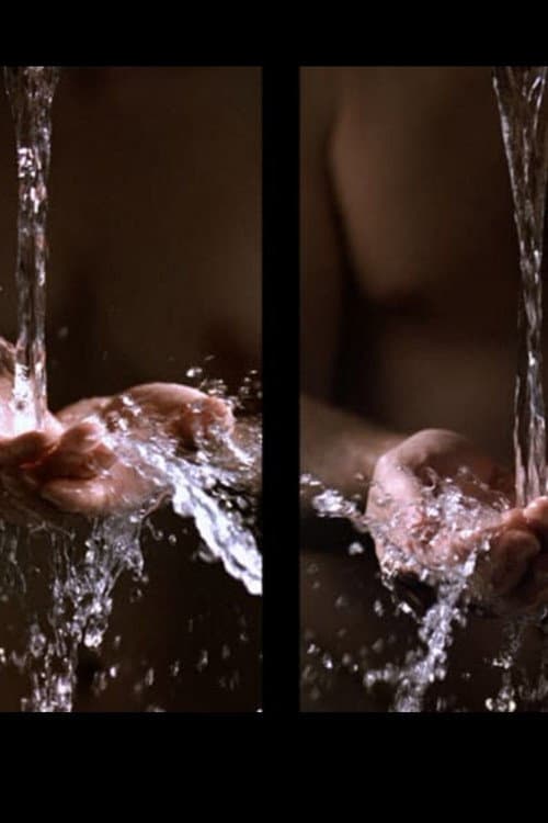 Ablutions (2005) poster