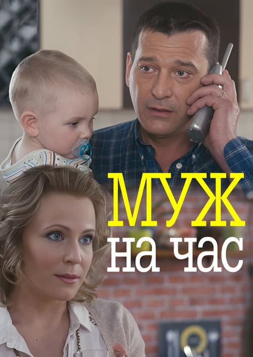 Муж на час (2014) poster