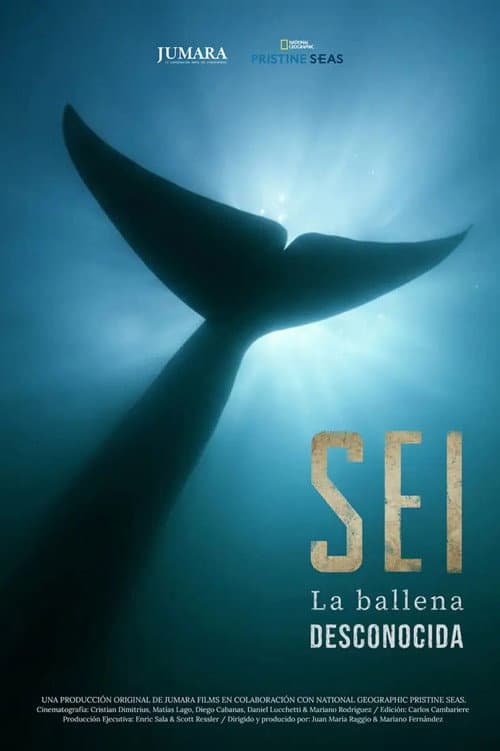Sei La Ballena Desconocida (2025) poster