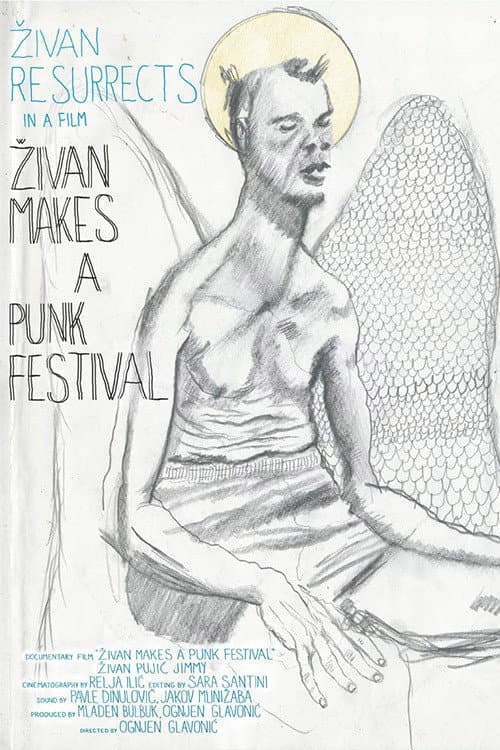 Živan pravi pank festival (2014) poster