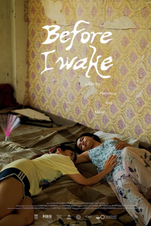 Before I Wake (2026) poster