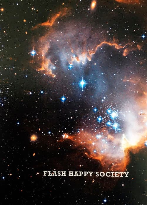Flash Happy Society (2009) poster
