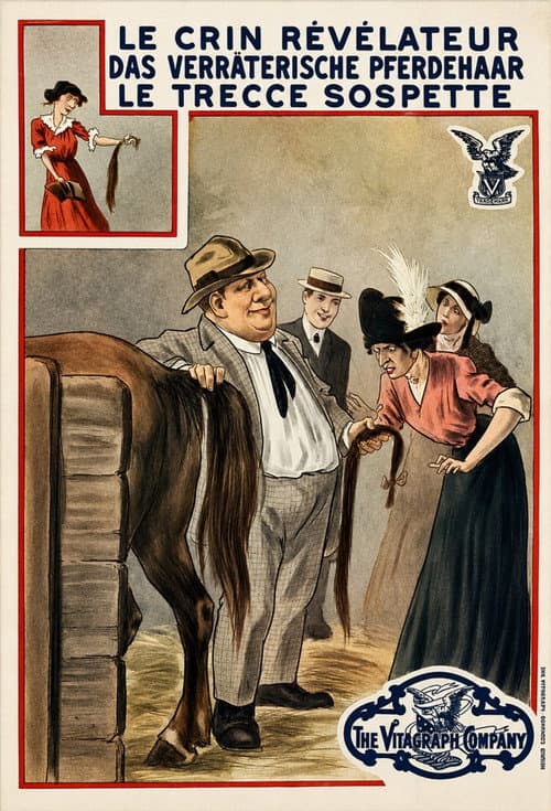 Those Troublesome Tresses (1913) poster