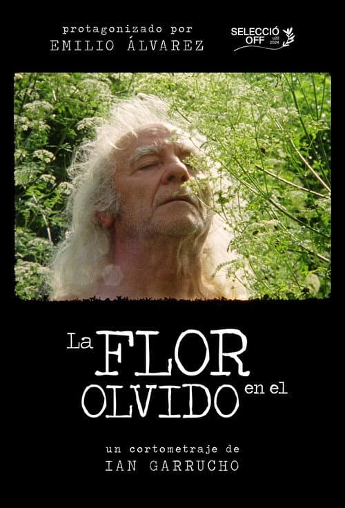 La flor en el olvido (2024) poster