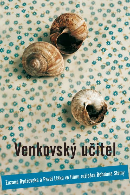 Venkovský učitel (2008) poster