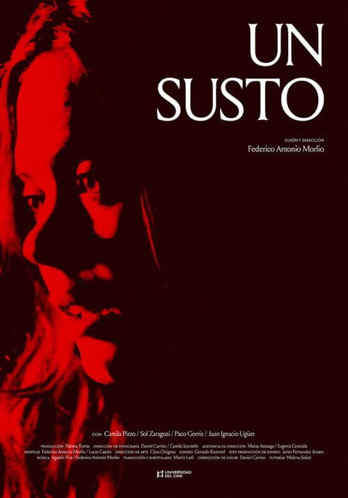 Un susto (2024) poster