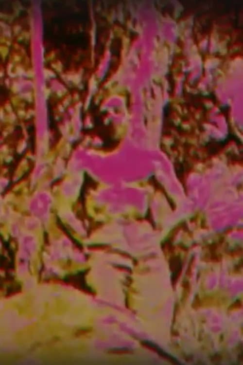 Album (1970) poster