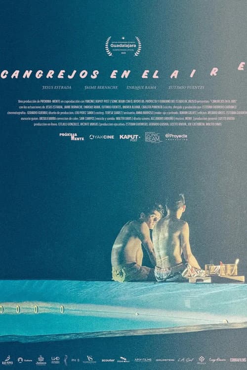Cangrejos en el aire (2025) poster
