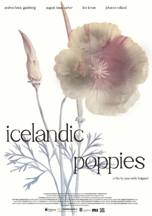 Icelandic Poppies (2023) poster