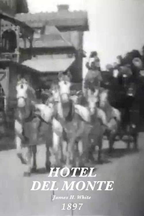 Hotel Del Monte (1897) poster