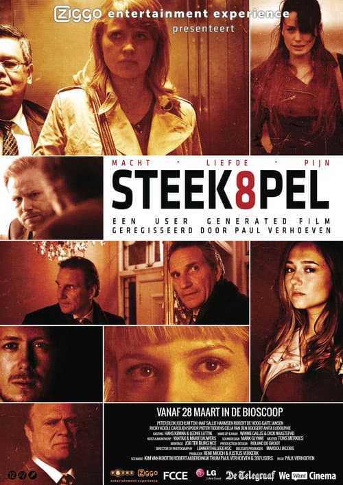 Steekspel (2012) poster