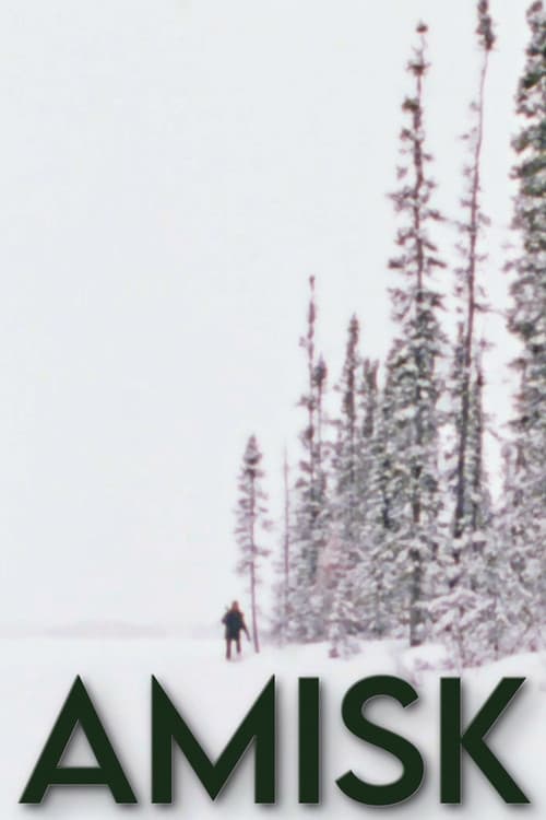 Amisk (1977) poster