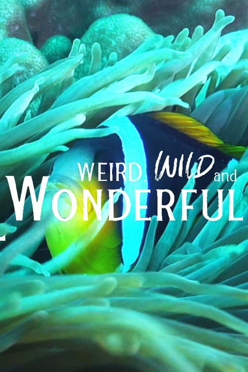 Weird, Wild, and Wonderful (2023) poster