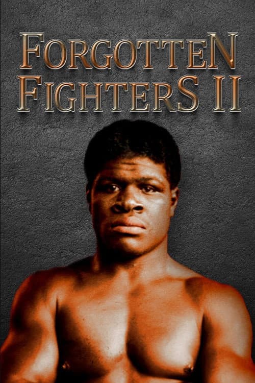 Forgotten Fighters II (2022) poster