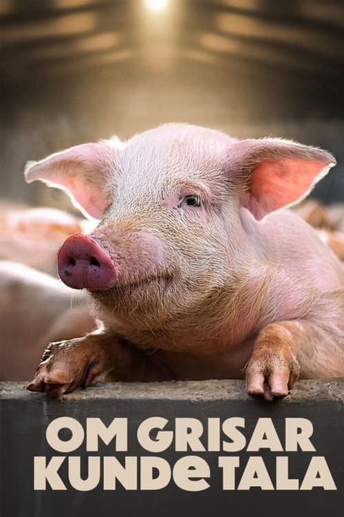 If Pigs Could Talk (2024) poster