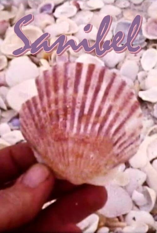 Sanibel (1978) poster
