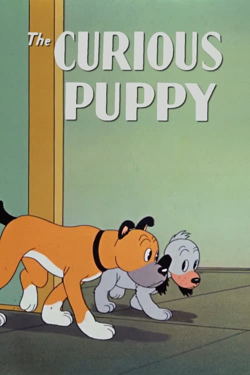 The Curious Puppy (1939) poster