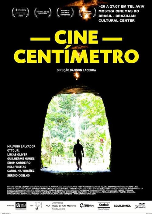 Cine Centímetro (2013) poster